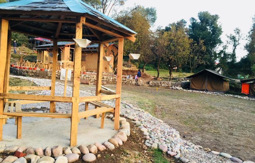 Camping and Paragliding at Bir-Billing