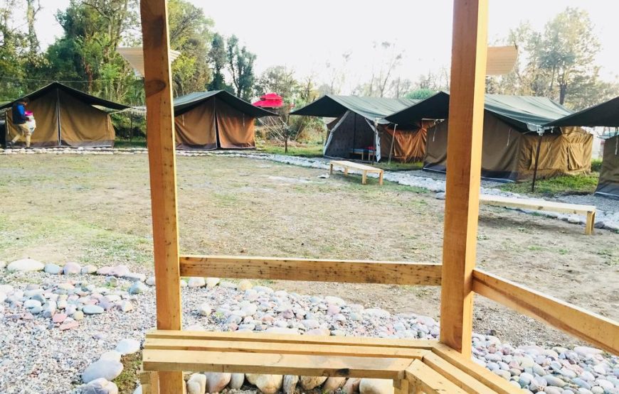 Camping and Paragliding at Bir-Billing