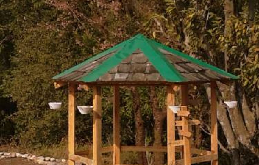 Camping and Paragliding at Bir-Billing