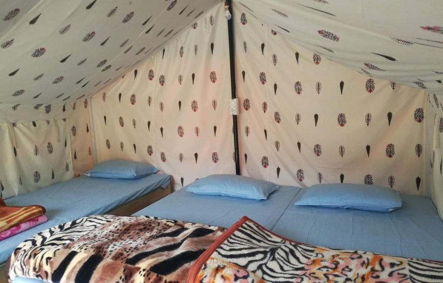 Camping and Paragliding at Bir-Billing