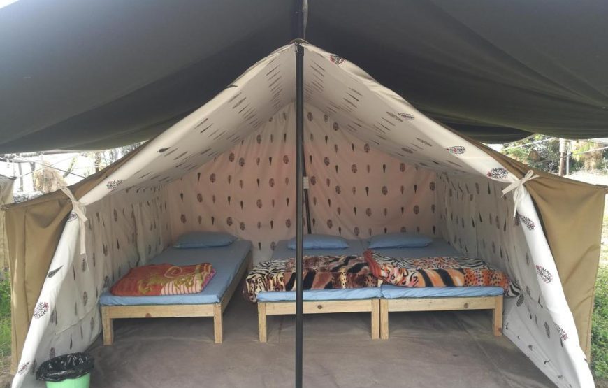 Camping and Paragliding at Bir-Billing