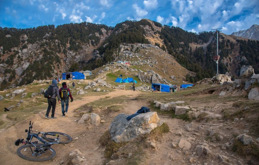 Triund Trek & Camp