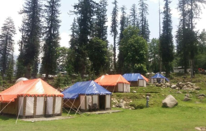 Camping at Solang Valley