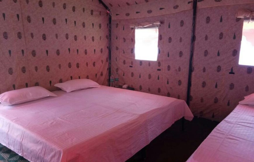 Camping at Solang Valley