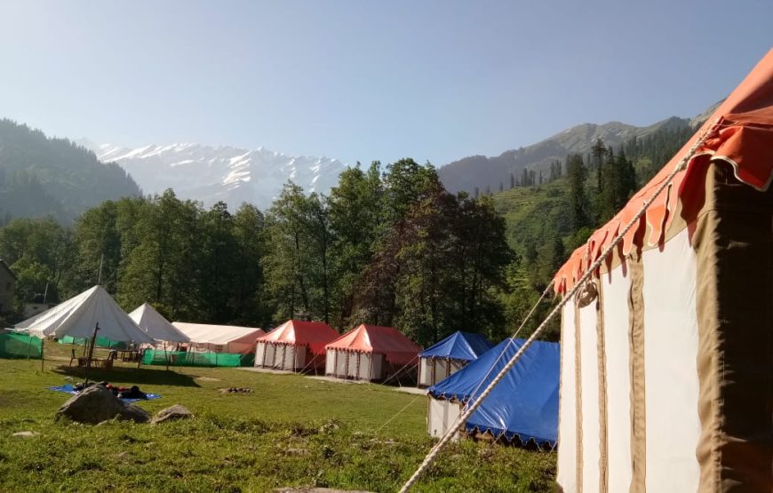 Camping at Solang Valley