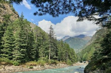 KASOL