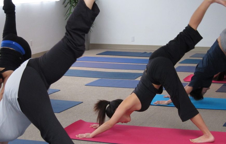 Yoga and Meditation Tour, Rishikesh