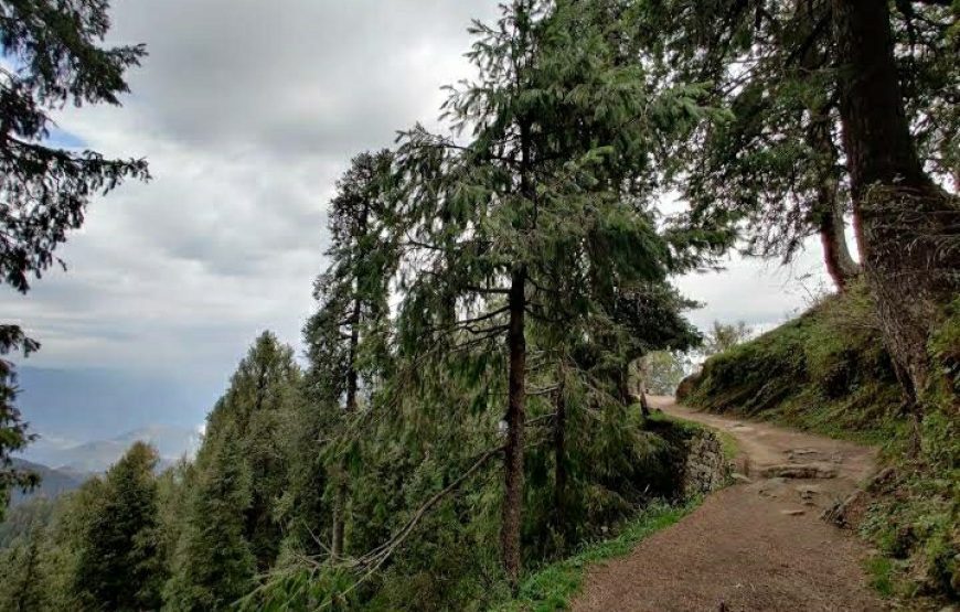 Dalhousie Winter Trek