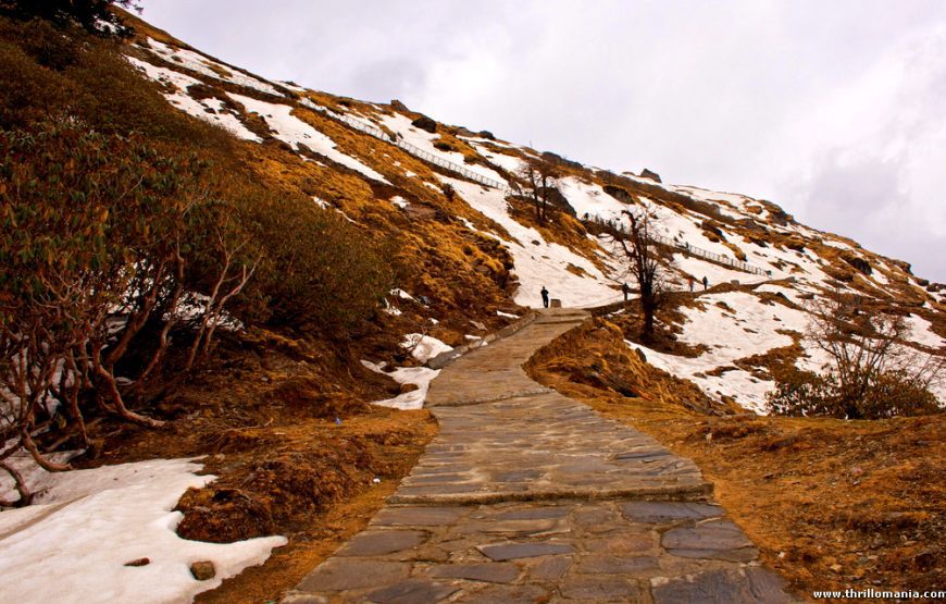 Chopta Chandrashila Trek