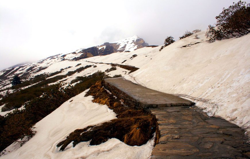 Chopta Chandrashila Trek