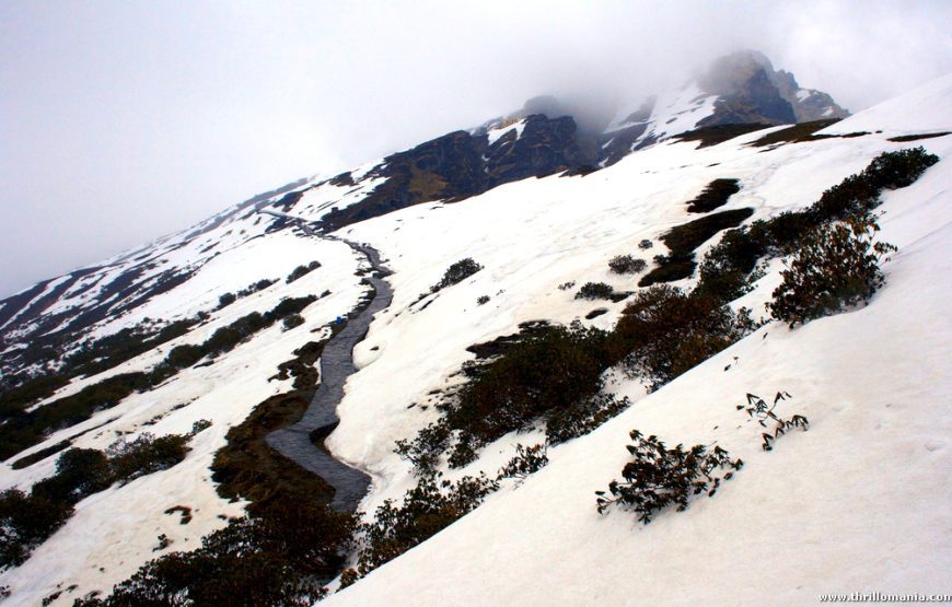 Chopta Chandrashila Trek